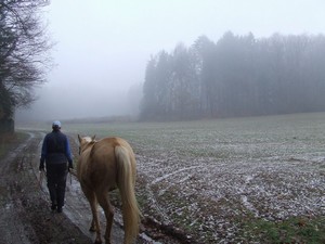 na rann prochzce