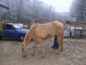 21. 12. 2007