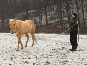 ani pes zimu nesmme zapomenout, co jsme se v lte nauili