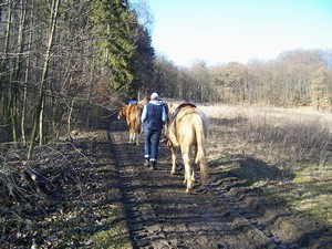 Odchzme na prochzku. (03.02.2008)