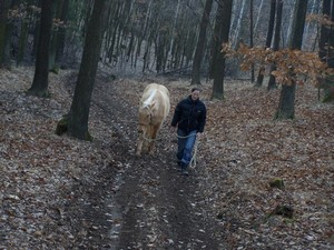 Vychzka (09.02.2008)