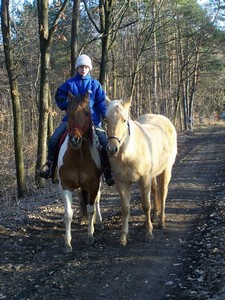 Brkov. (09.02.2008)