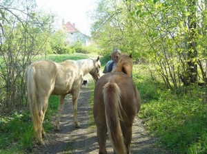 27.04.2008