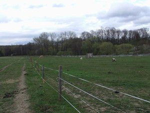 20.04.2008