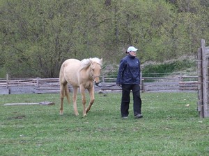 20.04.2008
