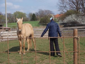20.04.2008