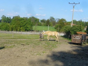 otravuje Matýska (12.05.2008)