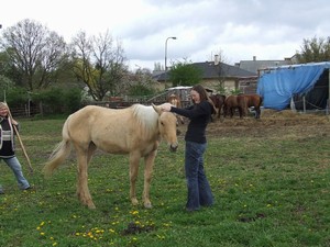 po 14 dnech jsme se konen zase vidli (01.05.2008)