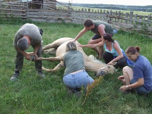 Jak se d taky strouhat k. Pipomnm, e k leel dobrovln a bez podprnch prostedk.