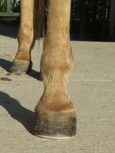 07.05.2009