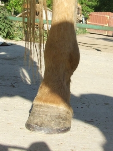07.05.2009